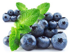 Blueberry Gaint