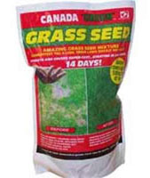 Canada Green Grass