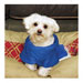 Snuggie for Dogs
