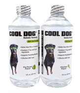 Cool Dog