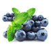 Blueberry Giant