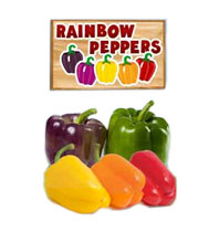 Rainbow Peppers