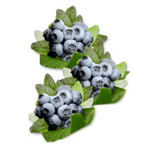 Mega Blueberries