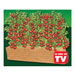 Tomato Factory